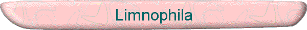 Limnophila